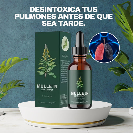 Mullein® | Con Extracto de Gordolobo y Clorofila para Pulmones Limpios y Respiración Aliviada
